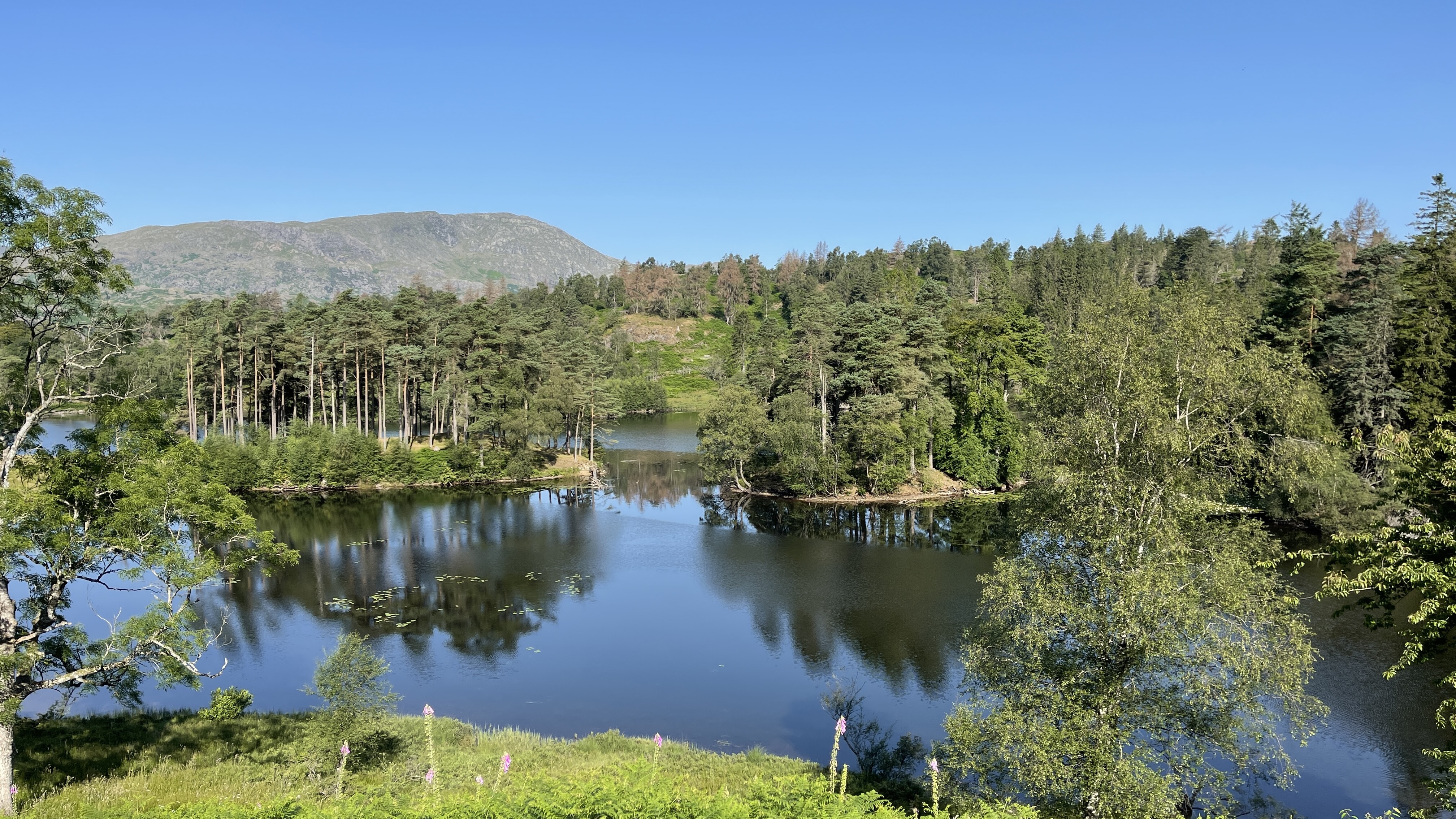 Lake District Scenery 7
